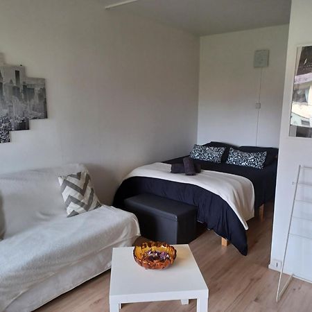 Studio Rdc Calme Avec Parking Ferme Pres Autoroute Et Tram C 뮐루즈 외부 사진