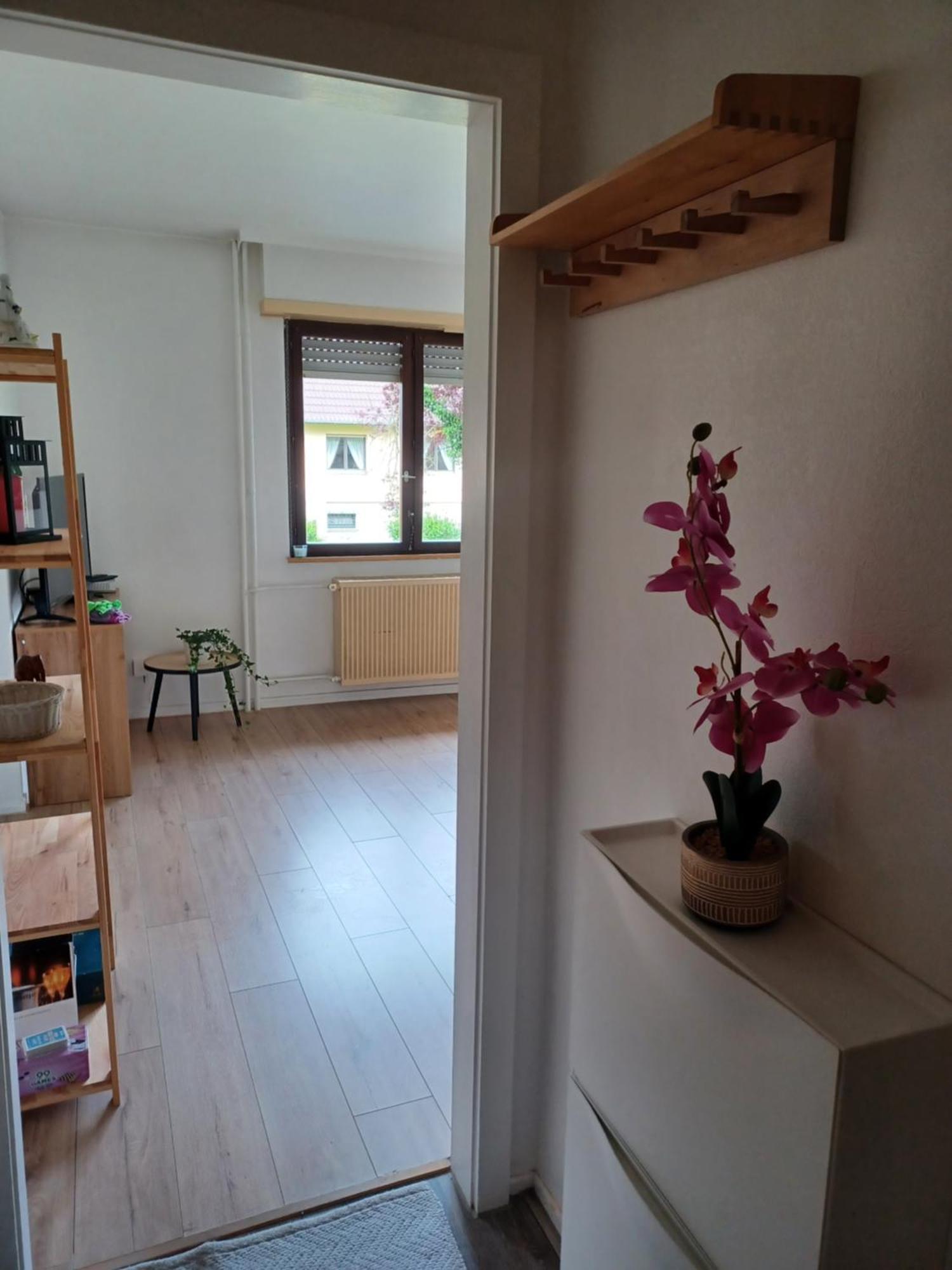 Studio Rdc Calme Avec Parking Ferme Pres Autoroute Et Tram C 뮐루즈 외부 사진