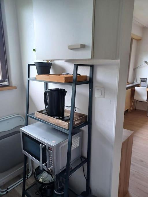 Studio Rdc Calme Avec Parking Ferme Pres Autoroute Et Tram C 뮐루즈 외부 사진