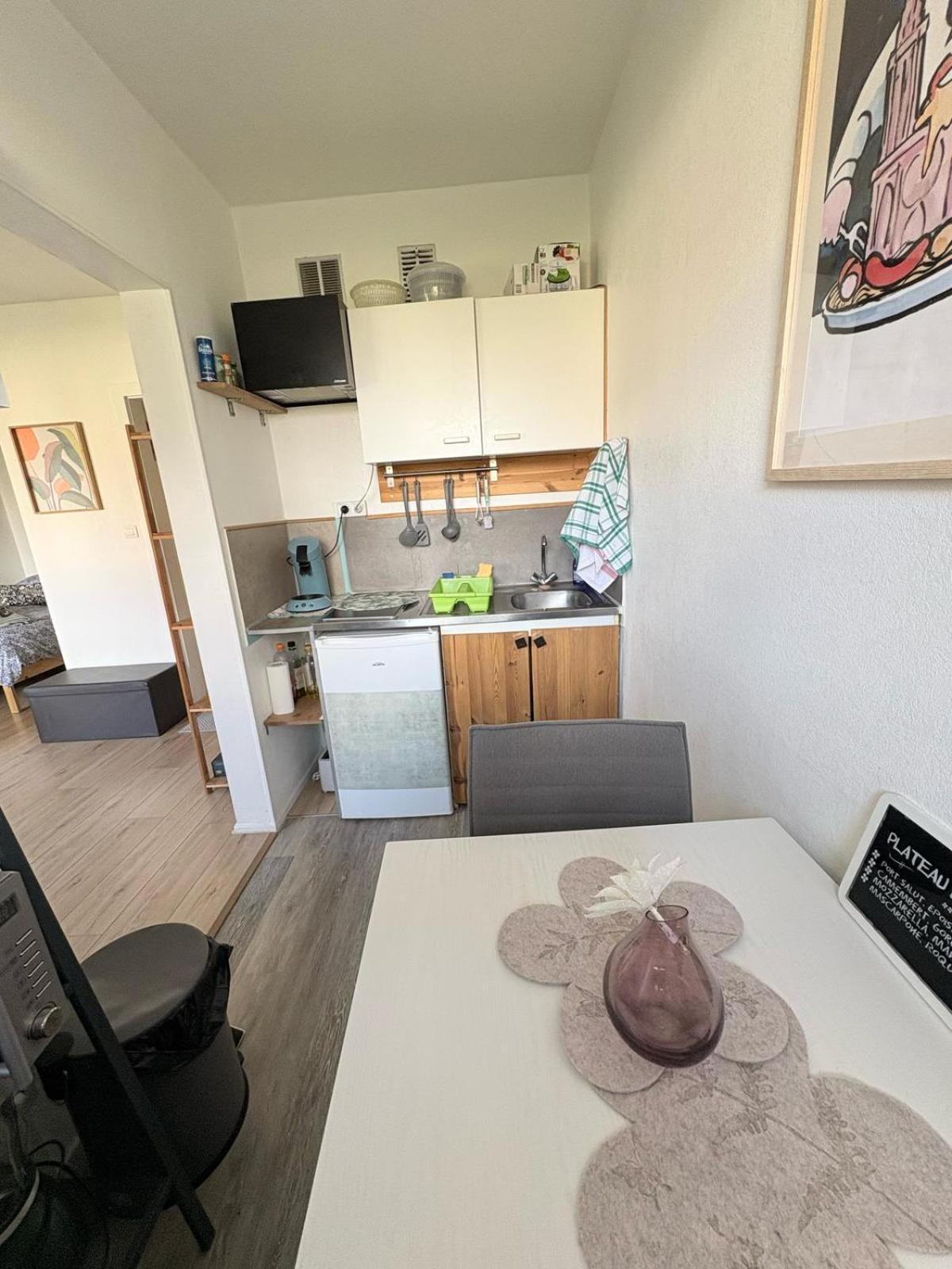 Studio Rdc Calme Avec Parking Ferme Pres Autoroute Et Tram C 뮐루즈 외부 사진